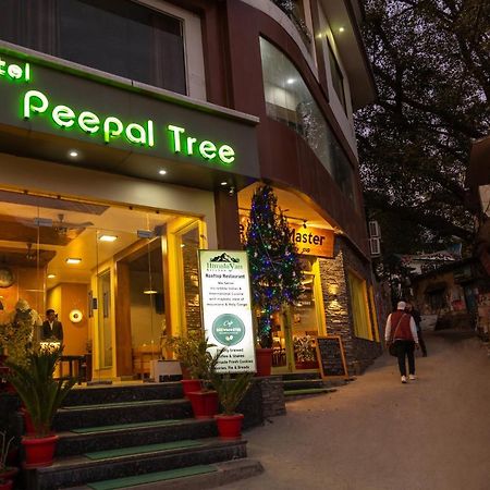 Hotel Peepal Tree Rishīkesh Buitenkant foto